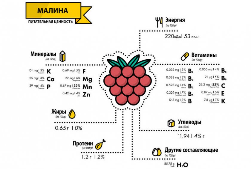 Витаминно-минеральный состав малины