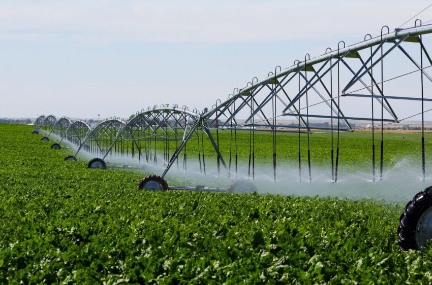 В Індії, що відчуває нестачу води, фермерів можуть закликати переглянути сівозміна В Індії, що відчуває нестачу води, фермерів можуть закликати переглянути сівозміна