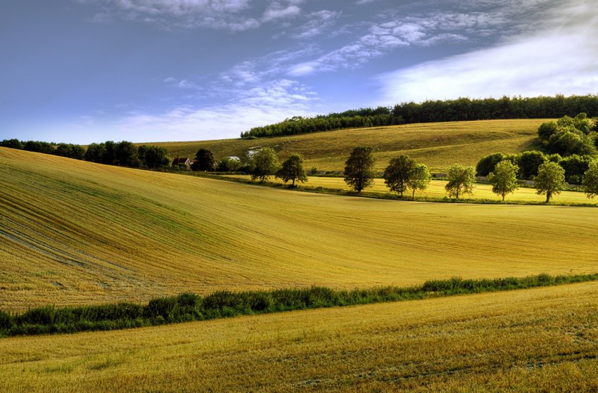 В Індії, що відчуває нестачу води, фермерів можуть закликати переглянути сівозміна В Індії, що відчуває нестачу води, фермерів можуть закликати переглянути сівозміна