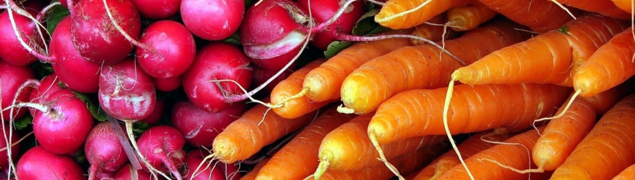 Херсонські фермери об'єдналися для успішного ведення бізнесу