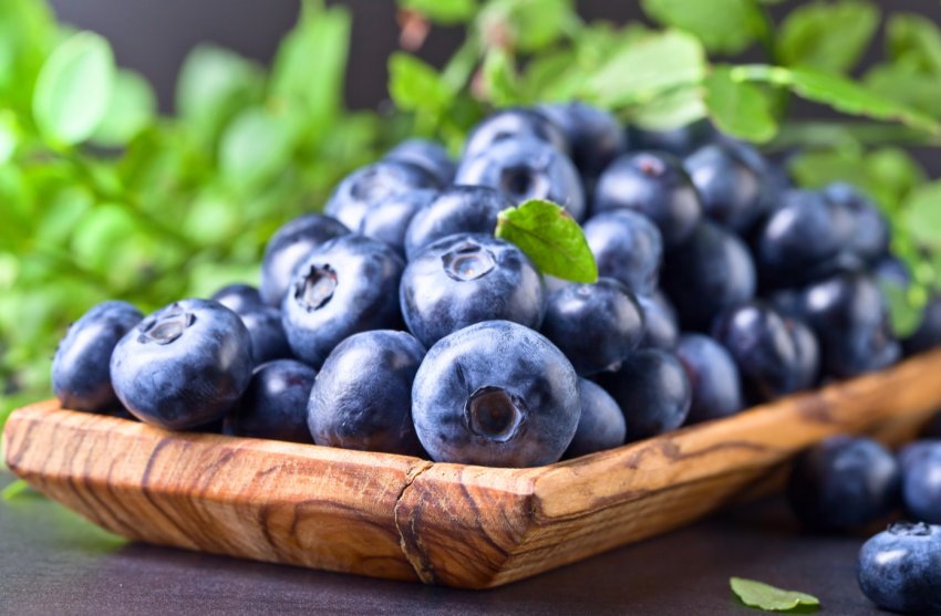 В Україні впали ціни на лохину