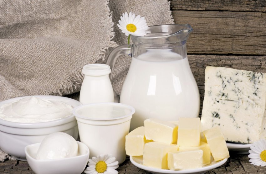 Уряд не скупиться на гранти для ставропольских молочників Уряд не скупиться на гранти для ставропольских молочників