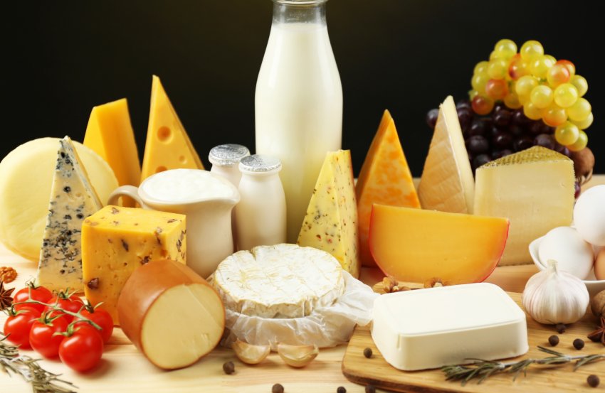 Уряд не скупиться на гранти для ставропольских молочників Уряд не скупиться на гранти для ставропольских молочників