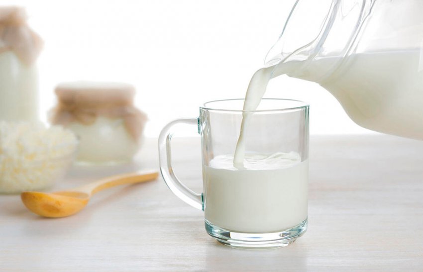 Корівки Татарстану «розливаються» молочними ріками Корівки Татарстану «розливаються» молочними ріками