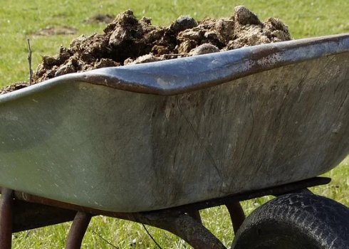 Можно ли использовать овечий навоз или перегной для удобрения огорода