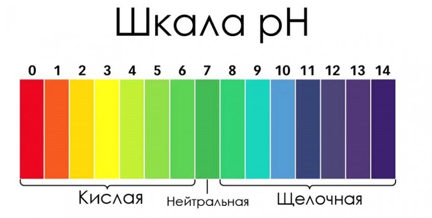 Шкала кислотності грунту Шкала кислотності грунту