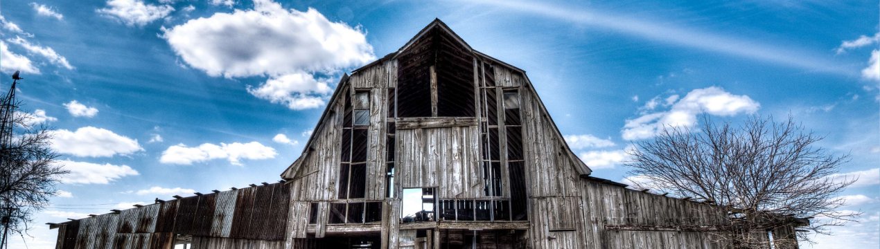 На «реанімацію» московських ферм виділили понад сорок мільйонів рублів