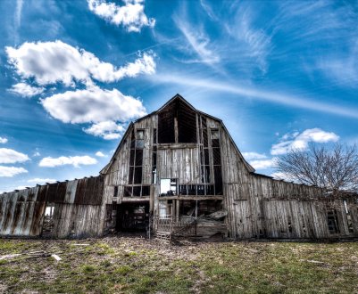 На «реанімацію» московських ферм виділили понад сорок мільйонів рублів