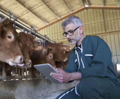 Російські скотарі починають готуватися до зимової виставці «Smart Farm»
