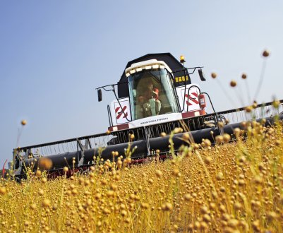 Томич включилися в процес заготівлі кормів
