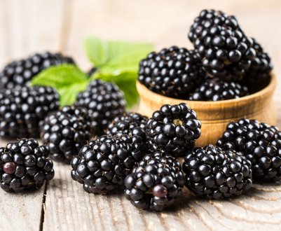 Користь і шкода ожини для здоров'я людини