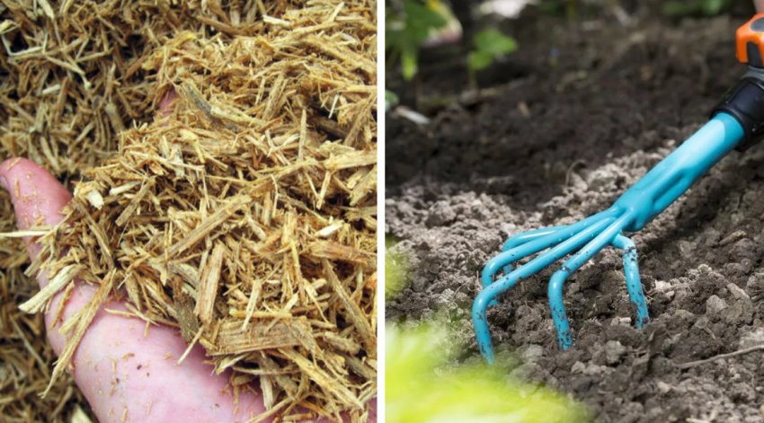 Підготовка до зими Підготовка до зими