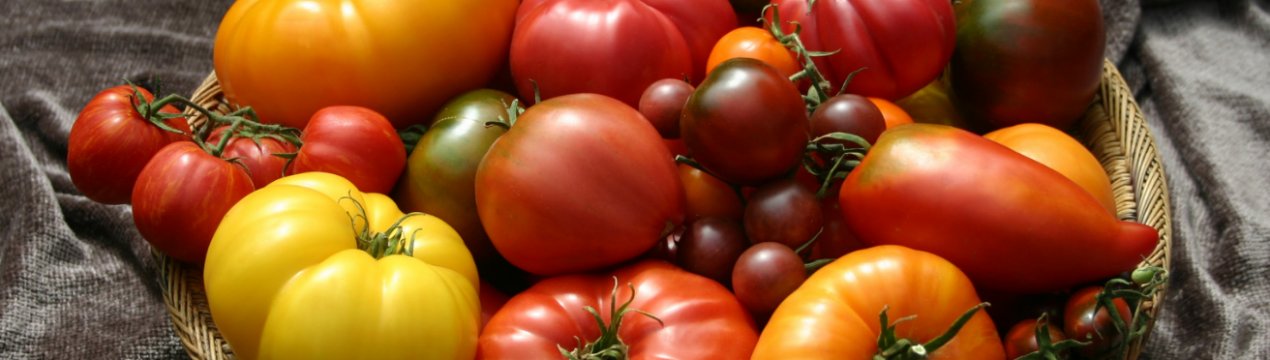 Томати в Україні хоч і дешевшають, але стоять в три рази дорожче, ніж торік