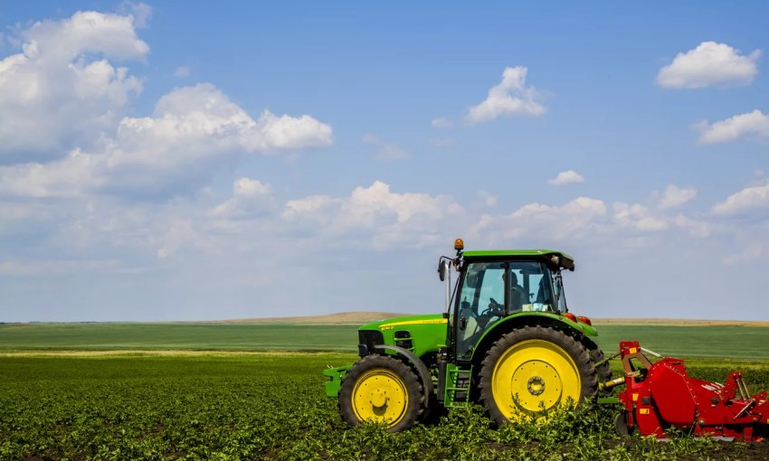 «Всеросійський день поля»: на ленінградських полях зустрінуться вісім тисяч землеробів «Всеросійський день поля»: на ленінградських полях зустрінуться вісім тисяч землеробів