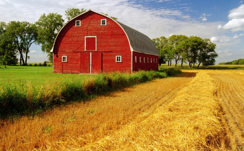 На «реанімацію» московських ферм виділили понад сорок мільйонів рублів