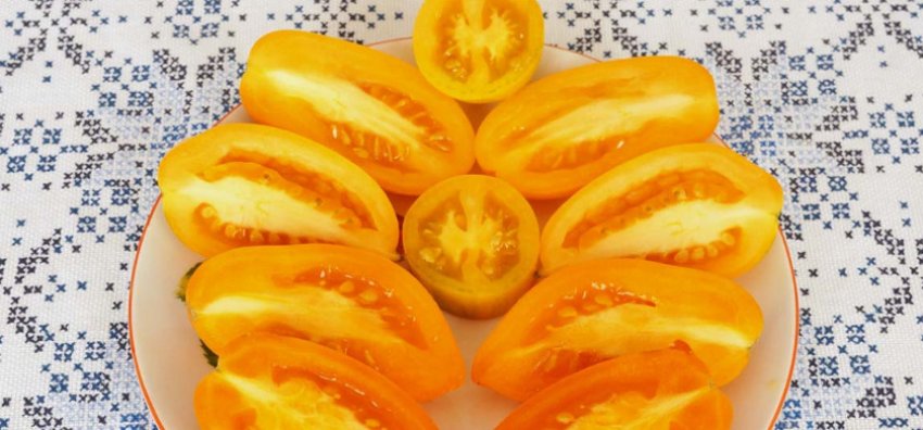 Томат Армянский Желтый Отзывы Фото Урожайность