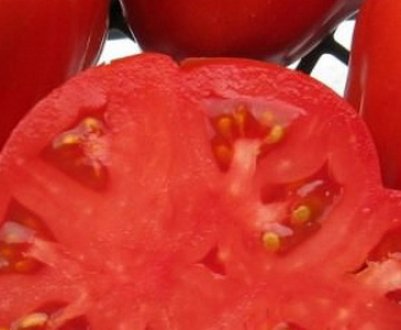 Помідори «Цукровий бізон»: опис, агротехніка вирощування