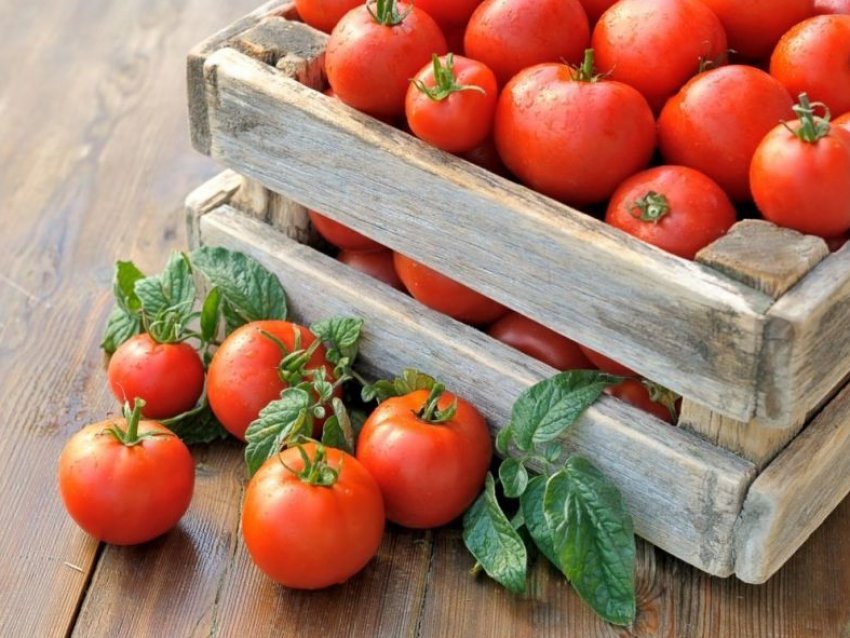 Помідори в ящику Помідори в ящику