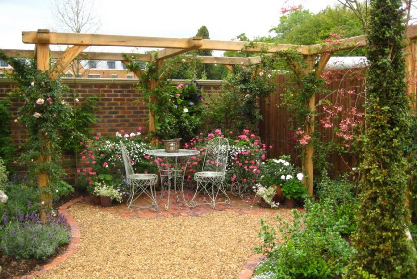 Жимолость в ландшафтному дизайні