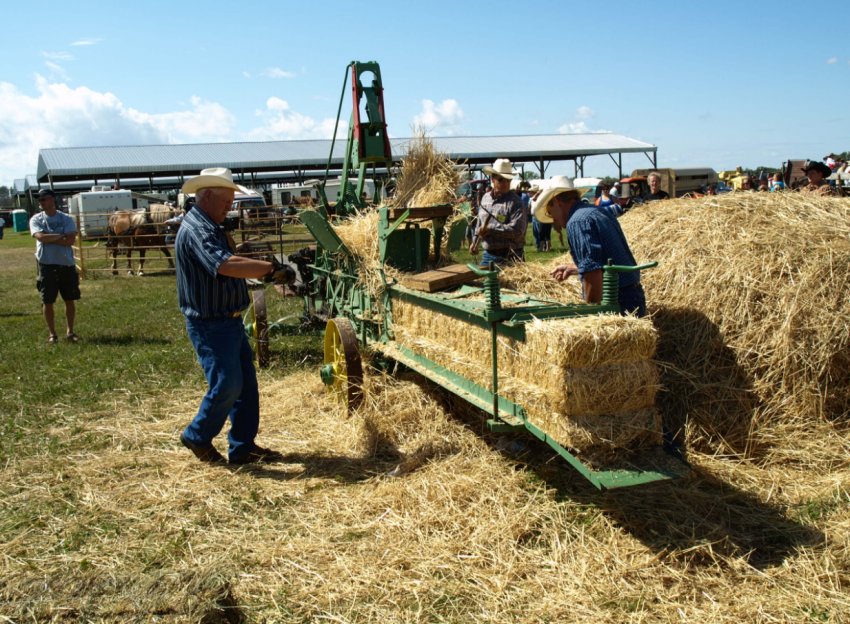 На острів Джерсі можуть бути привезені сельхозрабочие з Непалу На острів Джерсі можуть бути привезені сельхозрабочие з Непалу