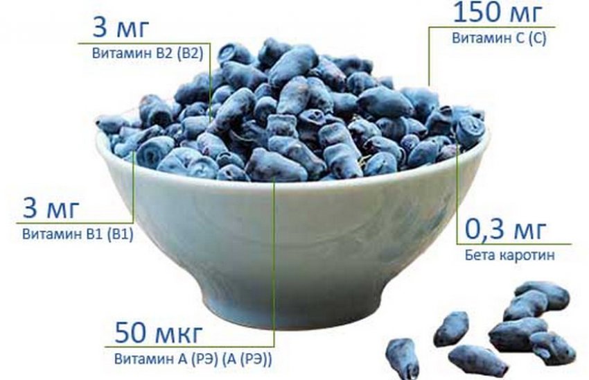 Складу жимолості