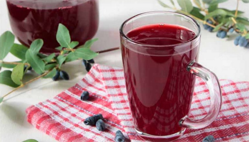 Компот з жимолості