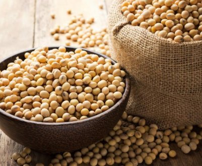 Прогнози сухої погоди підвищують в ціні соєві боби і зернові