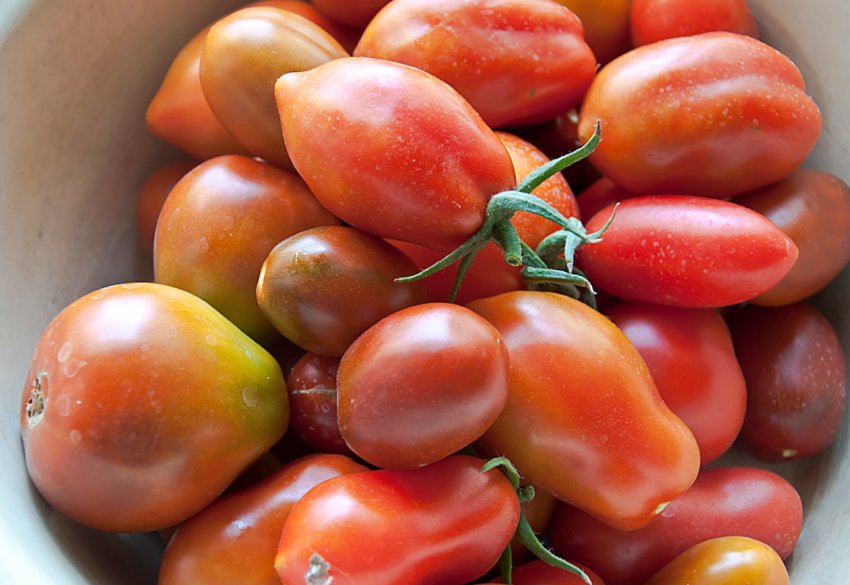 «Василина» «Василина»