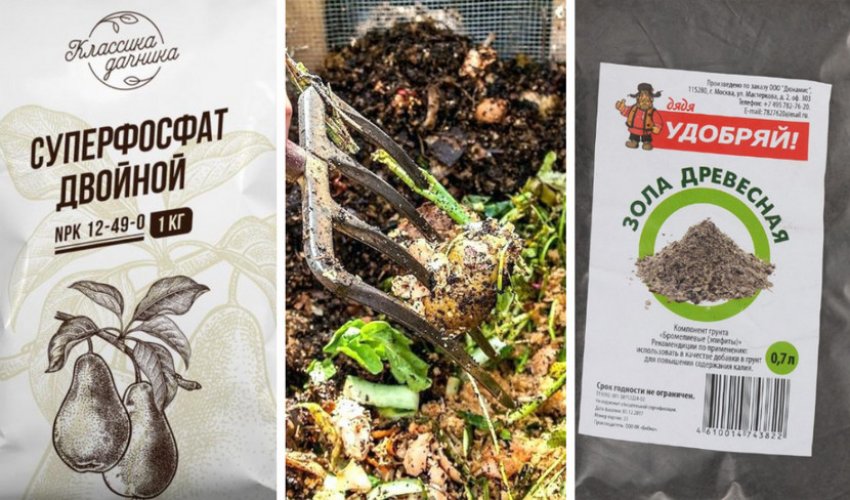Добриво перед посадкою Добриво перед посадкою