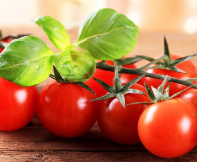 Сезон вітчизняних ґрунтових томатів розпочався з високих цін