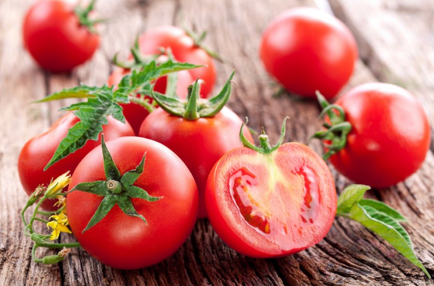 Сезон вітчизняних ґрунтових томатів розпочався з високих цін Сезон вітчизняних ґрунтових томатів розпочався з високих цін