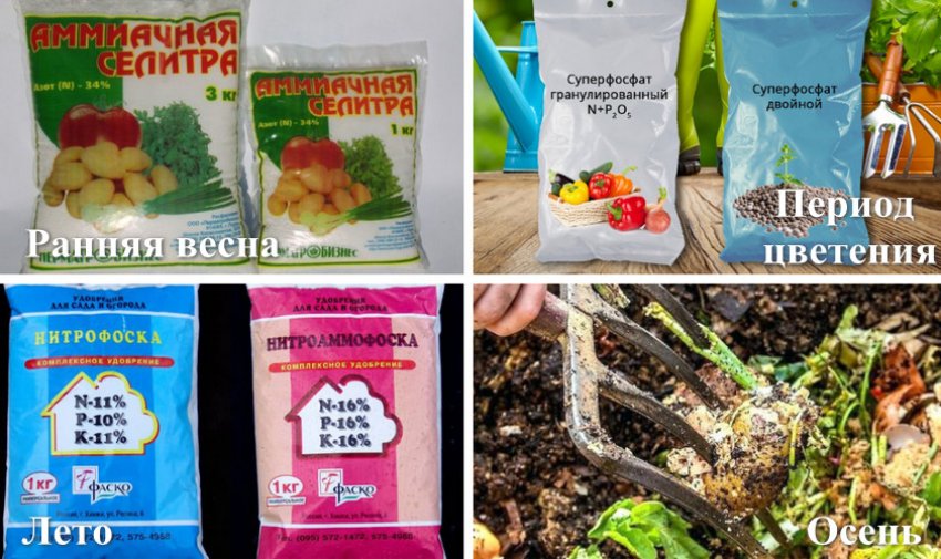 Схема внесення добрив Схема внесення добрив