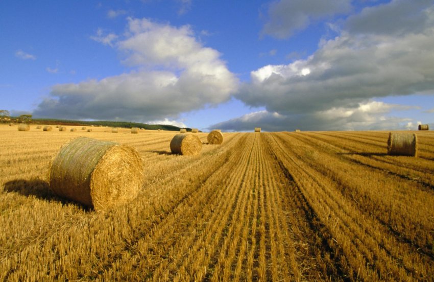 Всесвітній банк: інвестиції в сільське господарство Хорватії виправдані