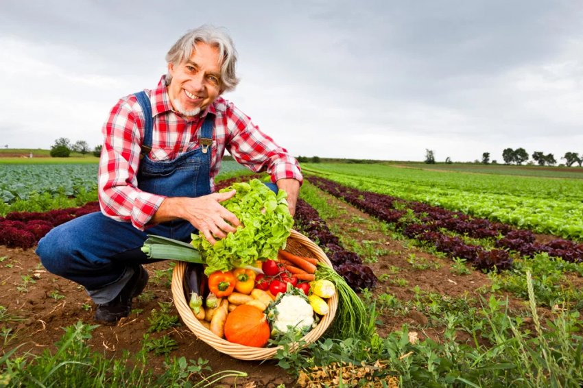 Фермерам Уельсу будуть платити за збереження навколишнього середовища