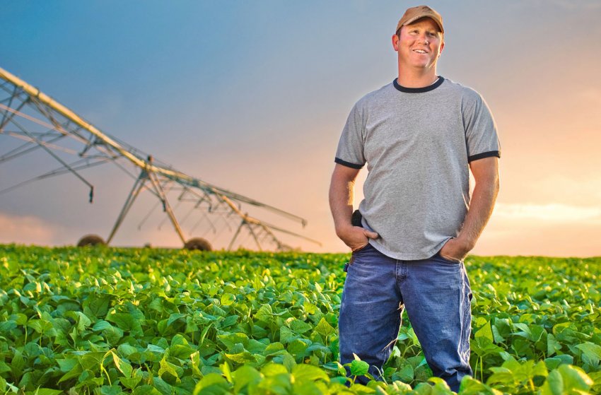 Фермерам Уельсу будуть платити за збереження навколишнього середовища