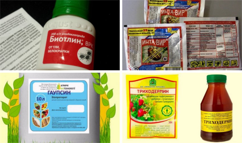 Препарати проти хвороб і шкідників Препарати проти хвороб і шкідників