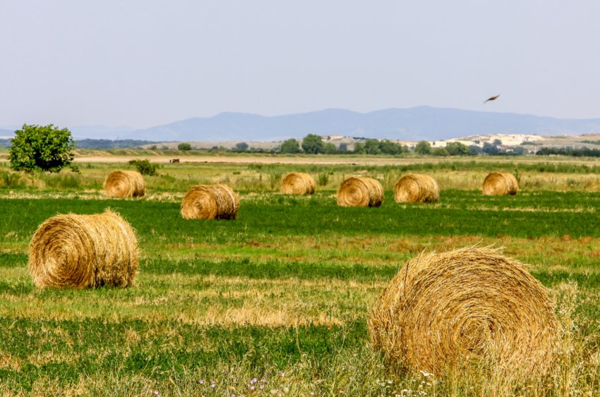 Фермери Великобританії вважають, що після Brexit інвестиції в науку повинні тривати Фермери Великобританії вважають, що після Brexit інвестиції в науку повинні тривати