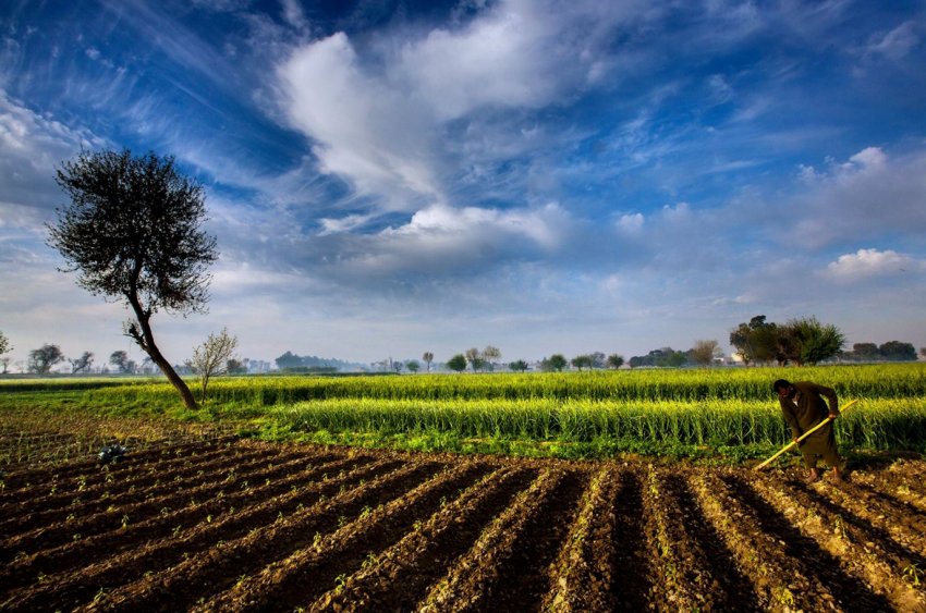 Фермери Великобританії вважають, що після Brexit інвестиції в науку повинні тривати Фермери Великобританії вважають, що після Brexit інвестиції в науку повинні тривати