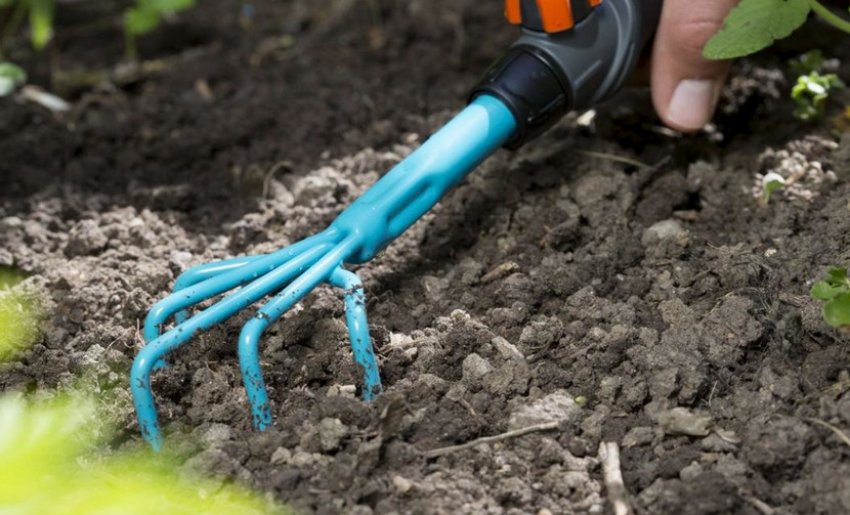 Прополка і розпушування грунту Прополка і розпушування грунту