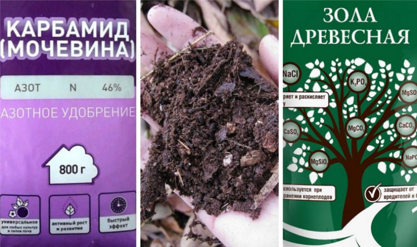 Підживлення ранньою весною Підживлення ранньою весною