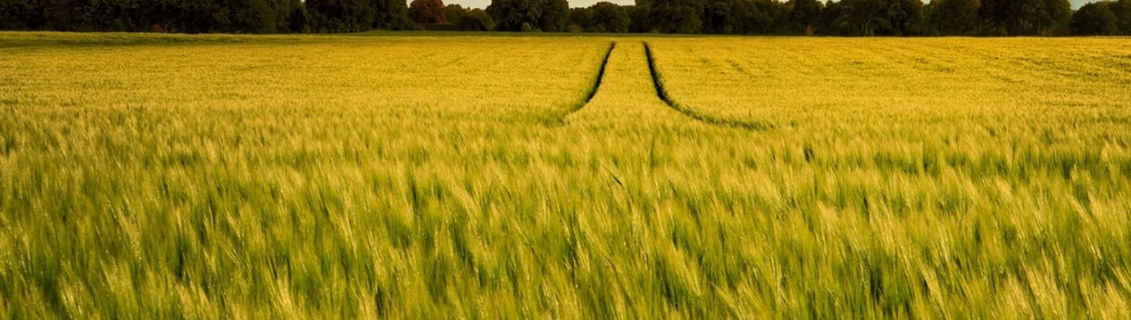 Геокадастровая карта України заповнений тільки на 60 відсотків
