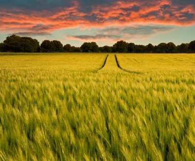 Геокадастровая карта України заповнений тільки на 60 відсотків