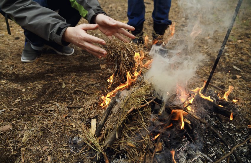 Вогнище в саду для задимлення кущів жимолості