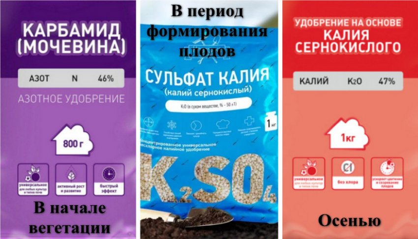 Схема підгодівлі Схема підгодівлі