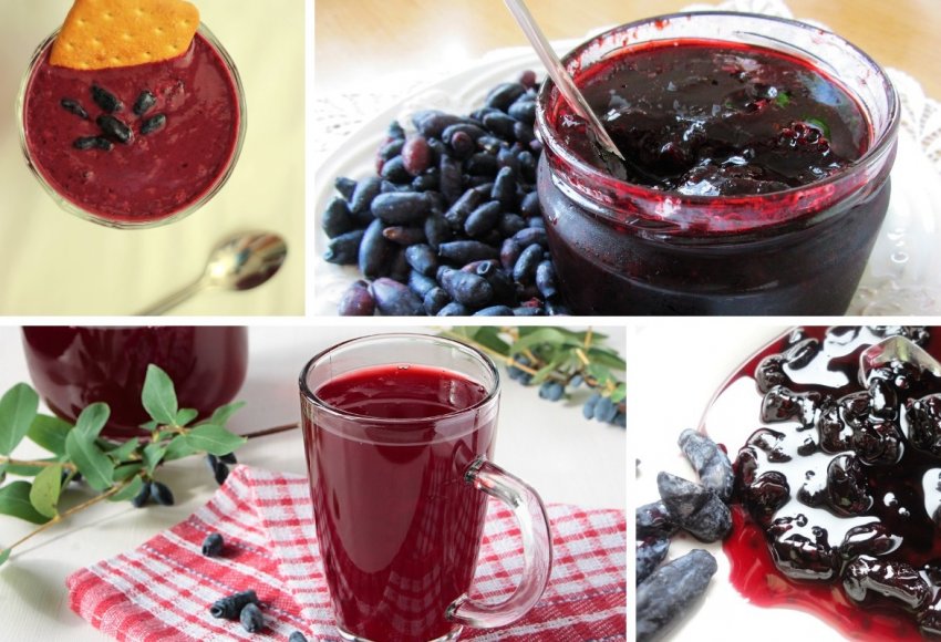 Що можна зробити з ягодами жимолості