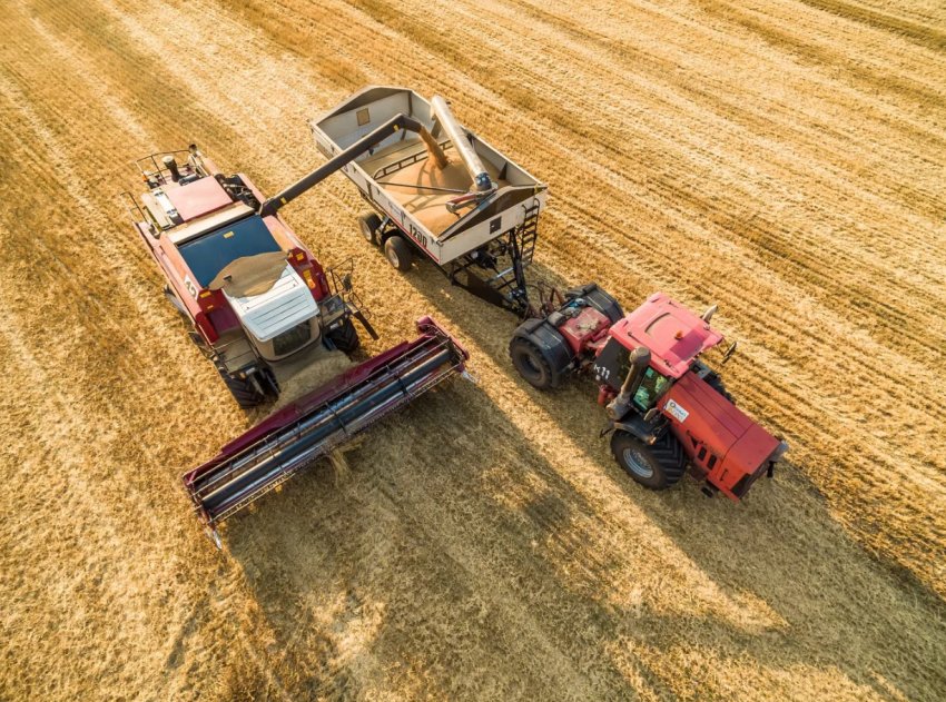 Столичні аграрії — на порозі грандіозного «прибирання»