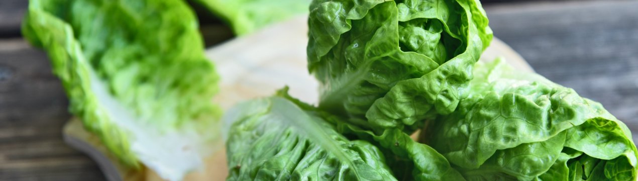 На британські поля з салатом виходить «робот-акуратист»