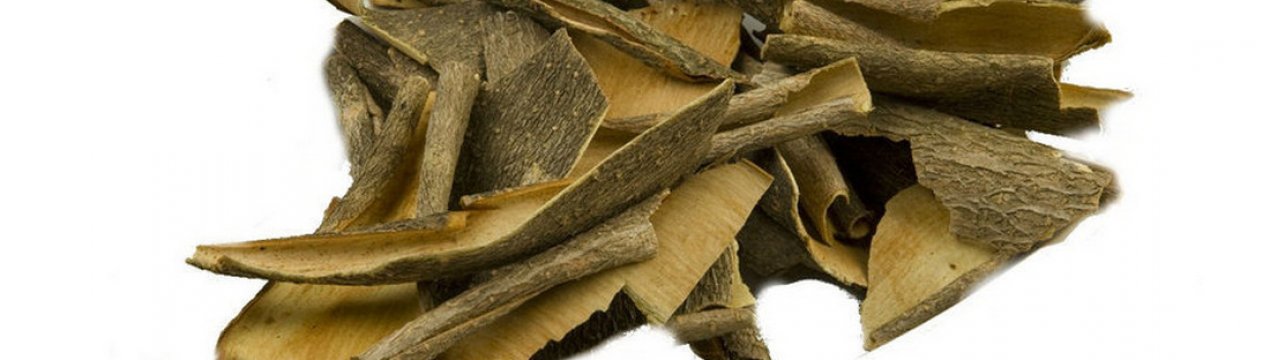 Кора калини: лікувальні властивості і протипоказання