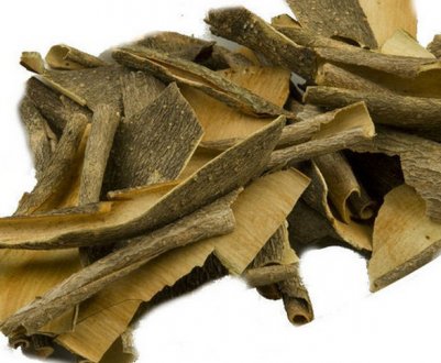 Кора калини: лікувальні властивості і протипоказання