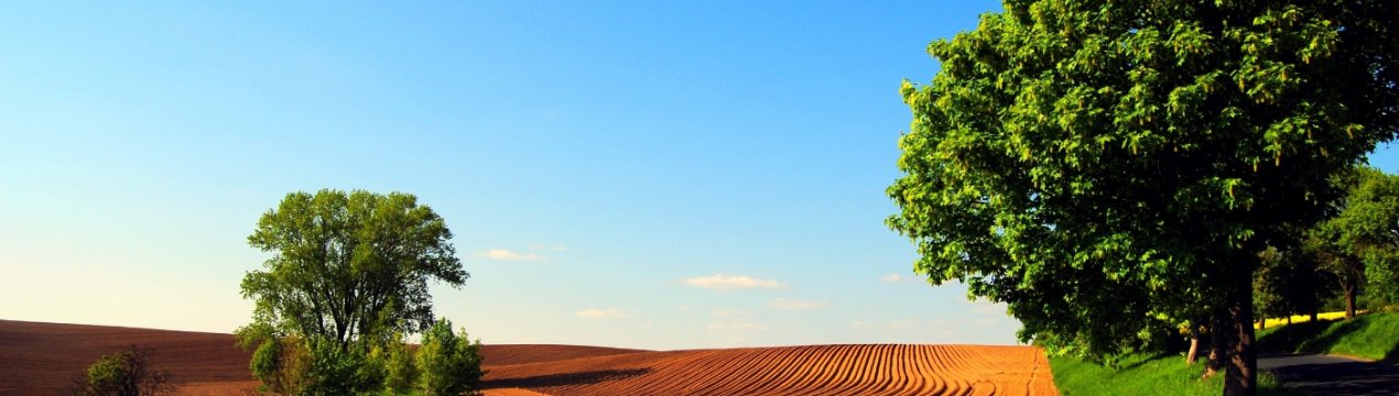 Тернопільська компанія повернула в сельхозобработку понад 500 гектарів занедбаних земель